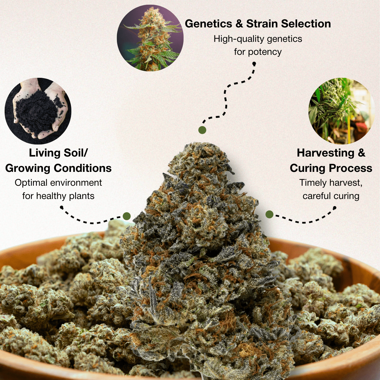 THC-A AAAA Exotic Flower